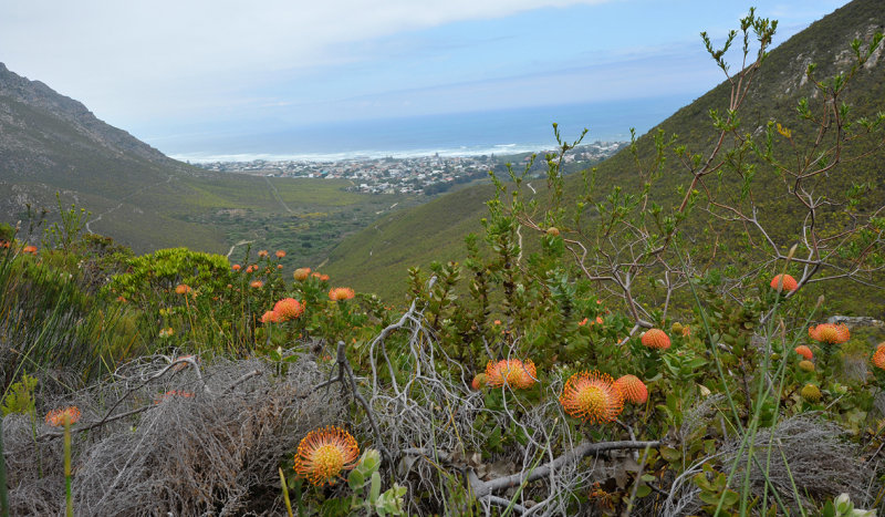 Fernkloof looking towards Hermanus.