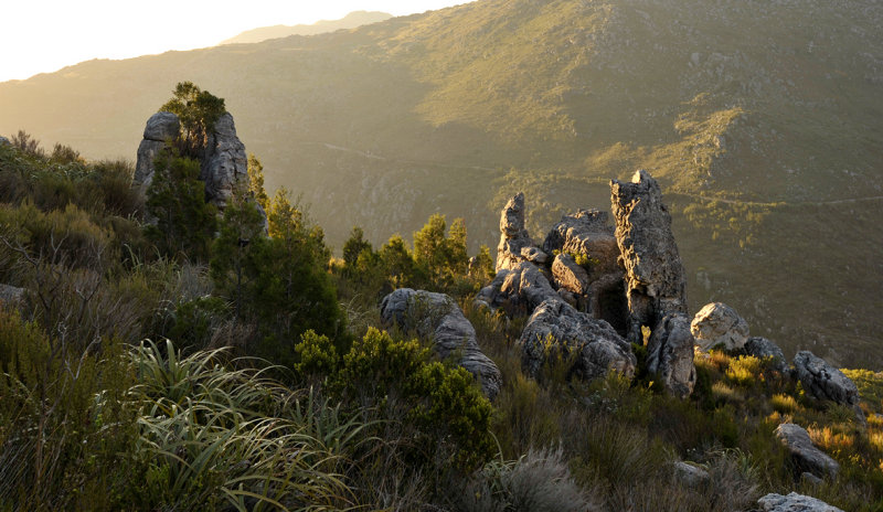 Sunset at Bainskloof.