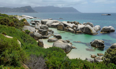 Boulders beach.