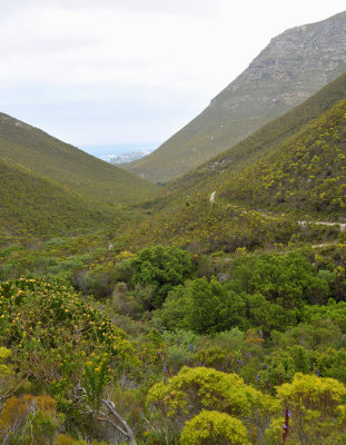 Fernkloof