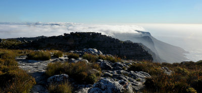 Table mountain.