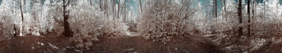 USA landscapes