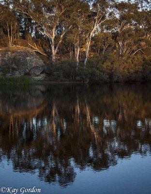 Early Morning On Dunns Swamp