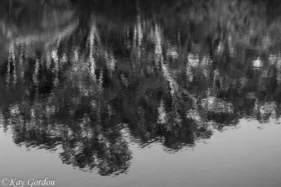 Abstract Reflections 