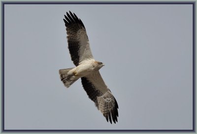 g2/48/945648/3/149074262.lGf4lZ1g.jpg