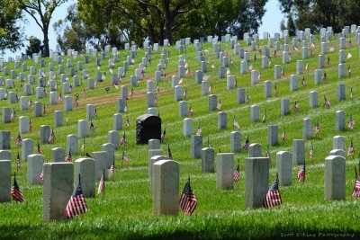 Memorial Day 3 2012.JPG