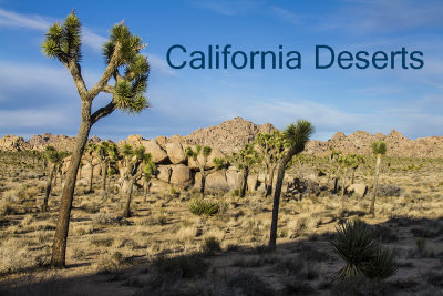 Deserts of California