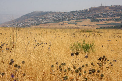 Arbel_4-6-2012 (42).JPG