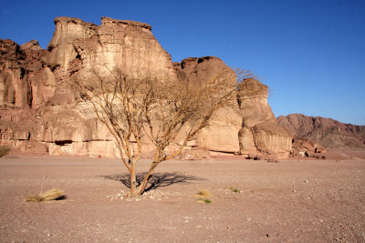 Park-Timna_29-11-2011 (126).JPG