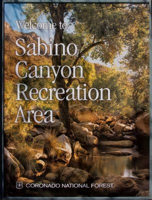 Sabino Canyon Arizona