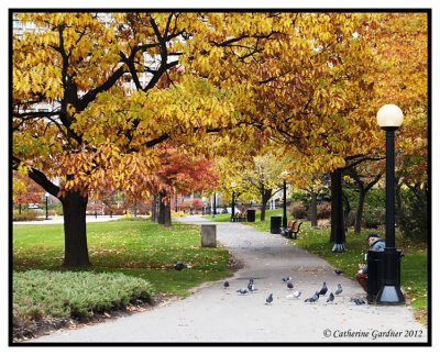 Fall Colors Confederation Park 2012