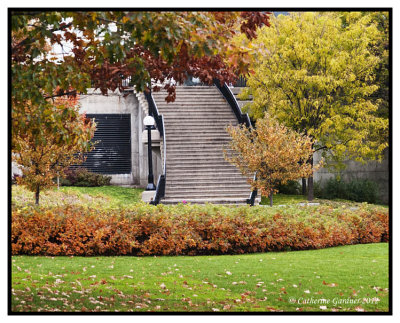 Fall Colors Confed Stairs 2012