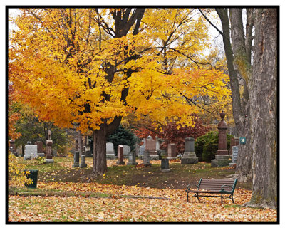 Fall Colors 2012