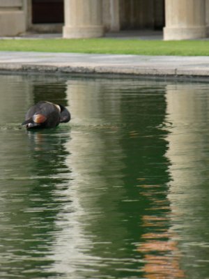 DSCN2170.JPG