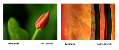 Red Flower and Gas Pump