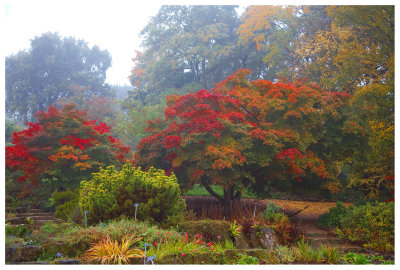 RHS WISLEY IN THE AUTUMN MIST