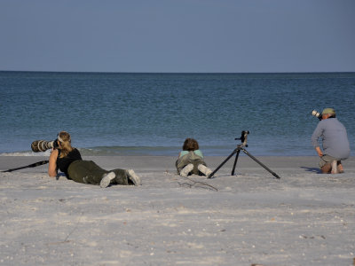 People working