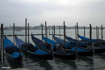 Venice - mask fastival