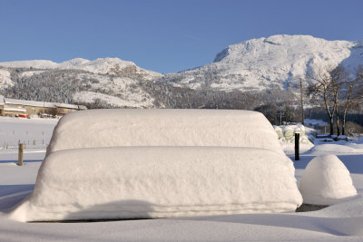 Neige