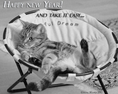 Happy new Year - and take it easy...