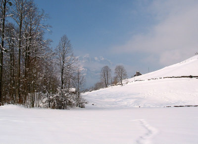 Ennenda, Uschenriet