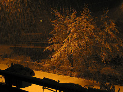 in the night it started to snow...