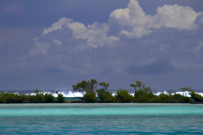 IMG_2307 copie.jpg