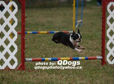 Master Jumpers