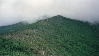 Looking up at Jefferson from Caps Ridge Trail.