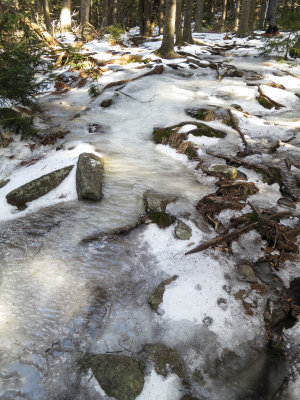 20121223_Temple-NH_0013.jpg