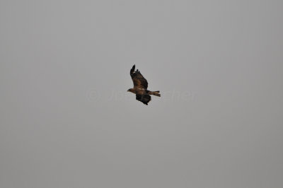 Khawr Jirama Oman 12-7-12 1849.JPG
