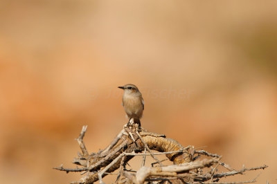 Qurayyat Oman 12-7-12 1843.JPG