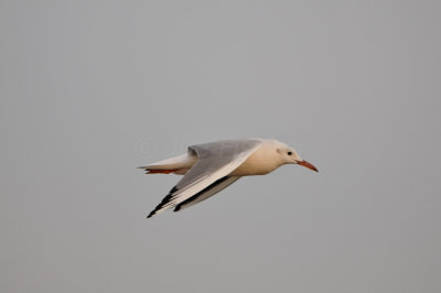 Qurum National Park Muscat Oman 12-5-12 0790.JPG