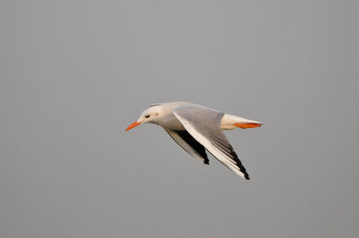 Qurum National Park Muscat Oman 12-5-12 0838.JPG