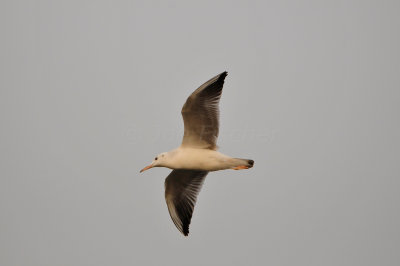 Qurum National Park Muscat Oman 12-5-12 0875.JPG