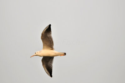 Qurum National Park Muscat Oman 12-5-12 0876a.JPG