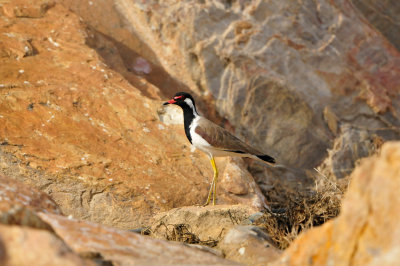 Qurum National Park Muscat Oman 12-6-12 1138.JPG