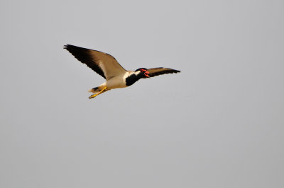 Qurum National Park Muscat Oman 12-6-12 1156.JPG