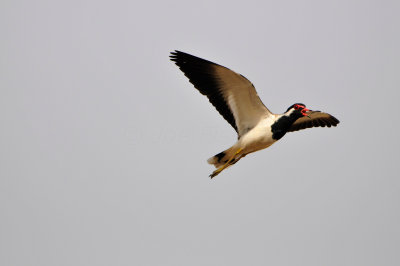 Qurum National Park Muscat Oman 12-6-12 1160.JPG