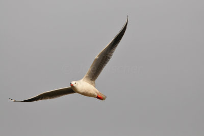 Qurum National Park Muscat Oman 12-6-12 1263.JPG
