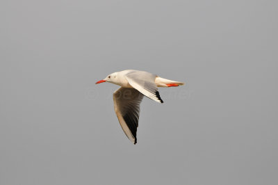 Qurum National Park Muscat Oman 12-6-12 1296.JPG