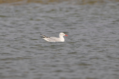 Qurum National Park Muscat Oman 12-6-12 1306.JPG