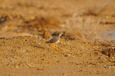 Sur Water Treatment Plant Oman 12-4-12 0288.JPG