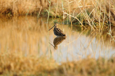 Sur Water Treatment Plant Oman 12-4-12 0285.JPG