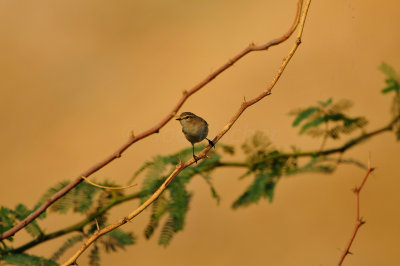 Sur Water Treatment Plant Oman 12-4-12 0423.JPG