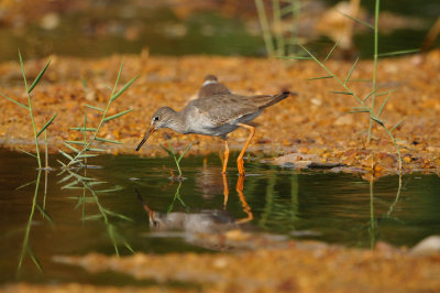 Sur Water Treatment Plant Oman 12-5-12 0494.JPG