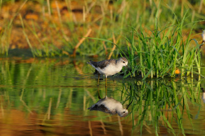 Sur Water Treatment Plant Oman 12-8-12 2098.JPG