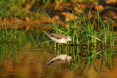 Sur Water Treatment Plant Oman 12-8-12 2104.JPG