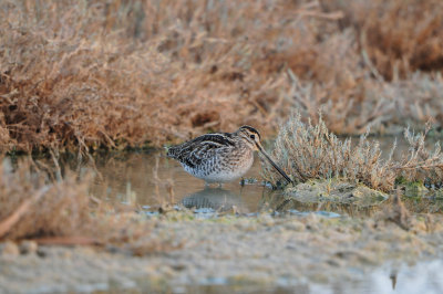Sur Water Treatment Plant Oman 12-9-12 2256.JPG