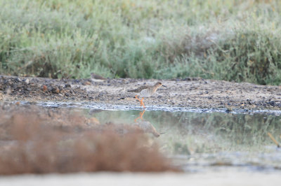 Sur Water Treatment Plant Oman 12-10-12 2420.JPG